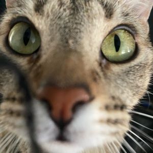 Meet your Posher, Derrick